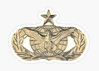 AFSC 3P0X1 Security Forces Occupational Badge